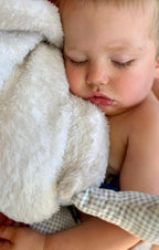 Ganso Peluche